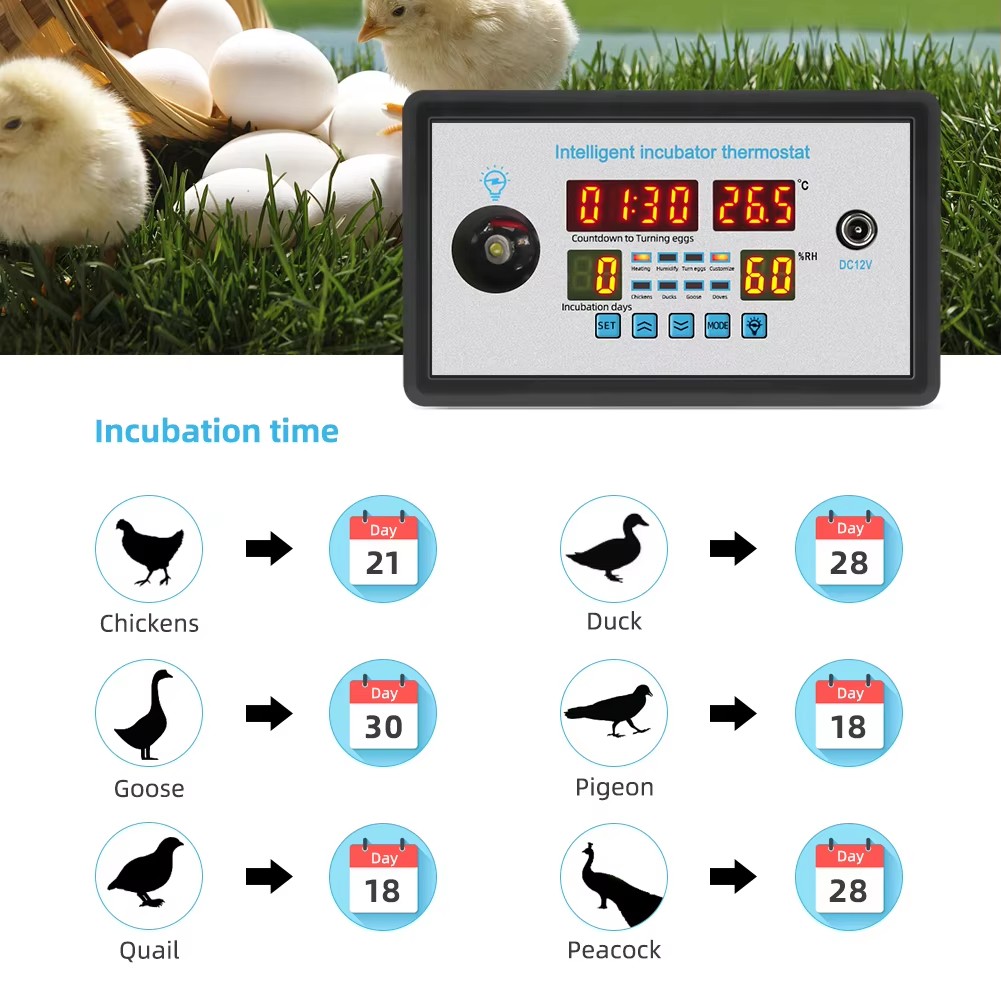 Poultry Incubator - ZFX-W9002 12V/220V Egg Incubator Controller with