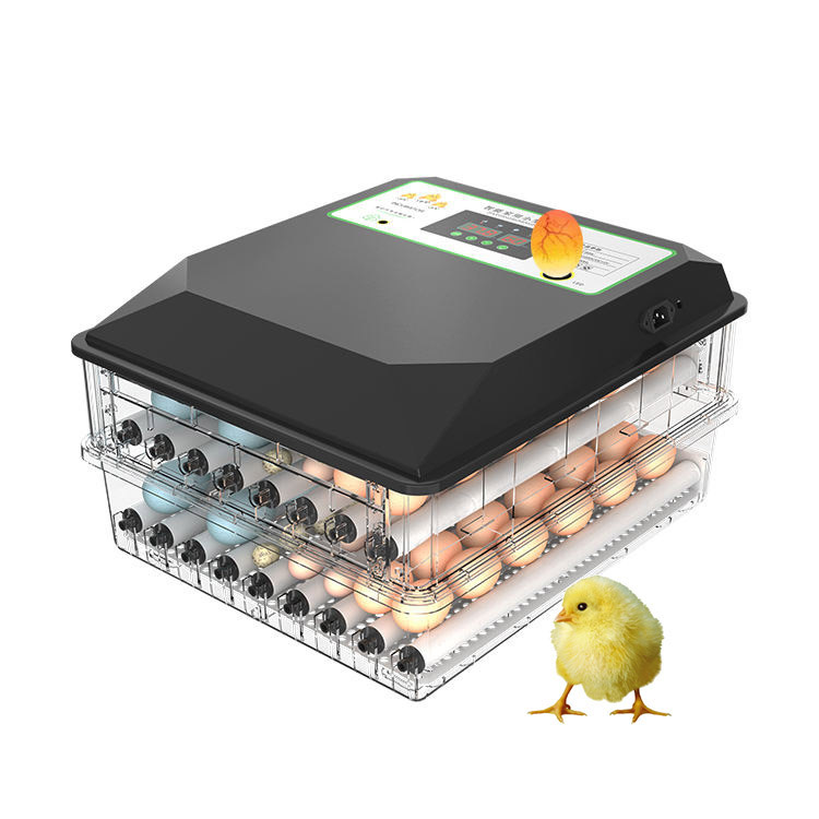 Poultry Incubator - Widely Used Automatic Poultry Hatching Egg