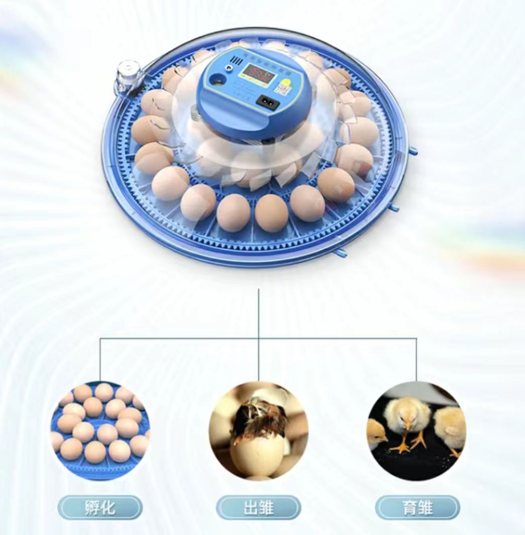 Poultry Incubator - 20/24/36/56/96/112 Eggs Chicken Egg Incubator Full-automatic