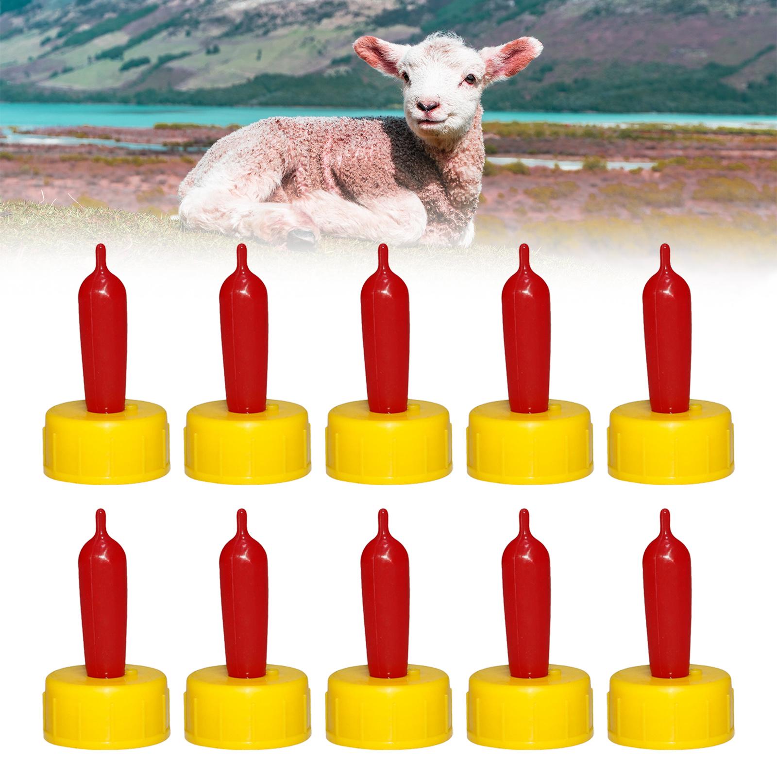 Soft Rubber Nipple Drinker for - Agriculture Farming Livestock review and price