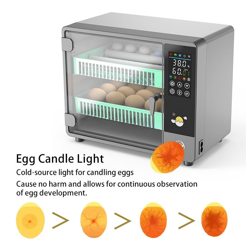Factory Direct 2026 Fully Auto - Poultry Incubator review and price