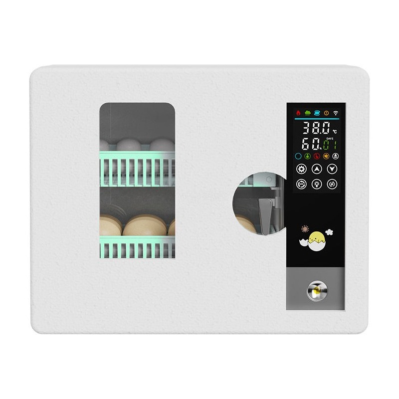 Factory Direct 2026 Fully Auto - Poultry Incubator review and price
