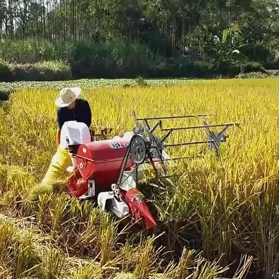 Automatic 13HP New Wheat Rice  - Combine Harvester Mini review and price