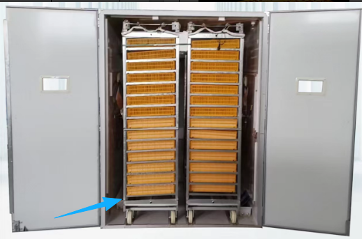 Large 1000 Eggs Incubator Mach - Poultry Incubator review and price