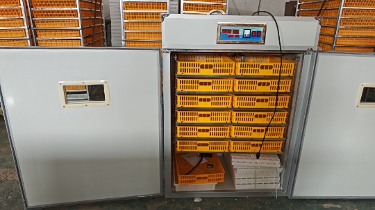Large 1000 Eggs Incubator Mach - Poultry Incubator review and price