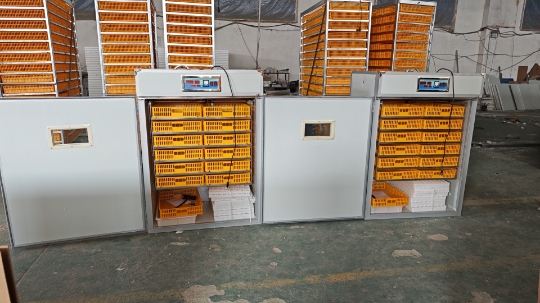 Large 1000 Eggs Incubator Mach - Poultry Incubator review and price