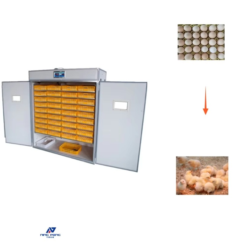 Poultry Egg Incubator Machine  - Poultry Incubator review and price