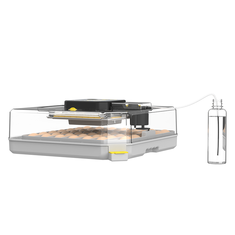 More Than 98% Hatching Rate Qu - Poultry Incubator review and price
