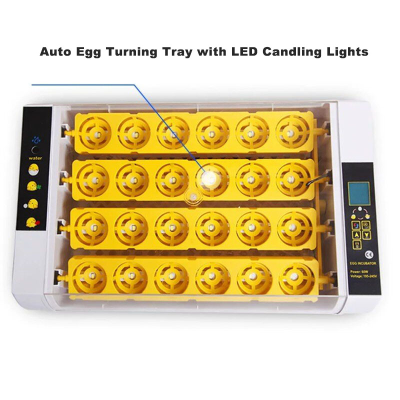 Fully‑Automatic Egg Incubator  - Poultry Incubator review and price