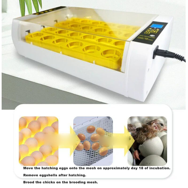 Fully‑Automatic Egg Incubator  - Poultry Incubator review and price