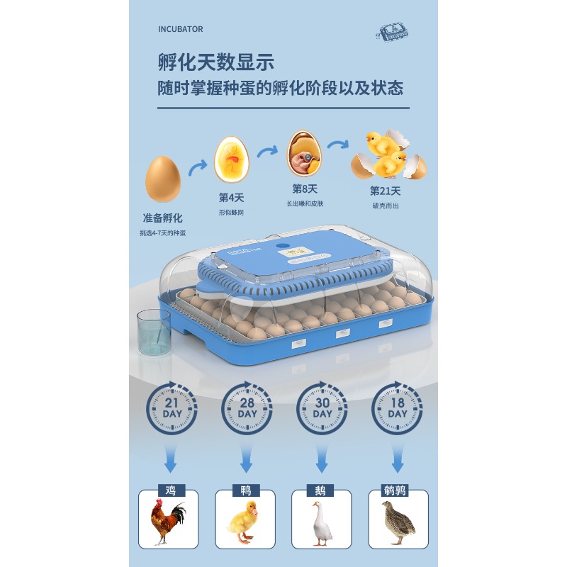 Automatic Egg Incubator Dual P - Poultry Incubator review and price