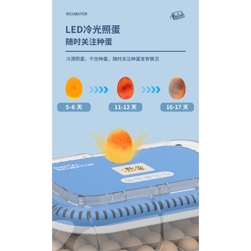 Automatic Egg Incubator Dual P - Poultry Incubator review and price
