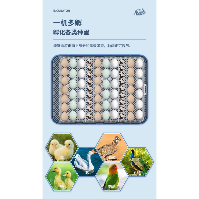 Automatic Egg Incubator Dual P - Poultry Incubator review and price