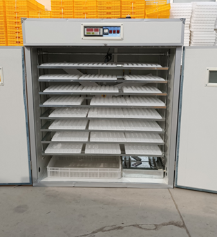 20/24/36/56/96/112 Eggs Chicke - Poultry Incubator review and price